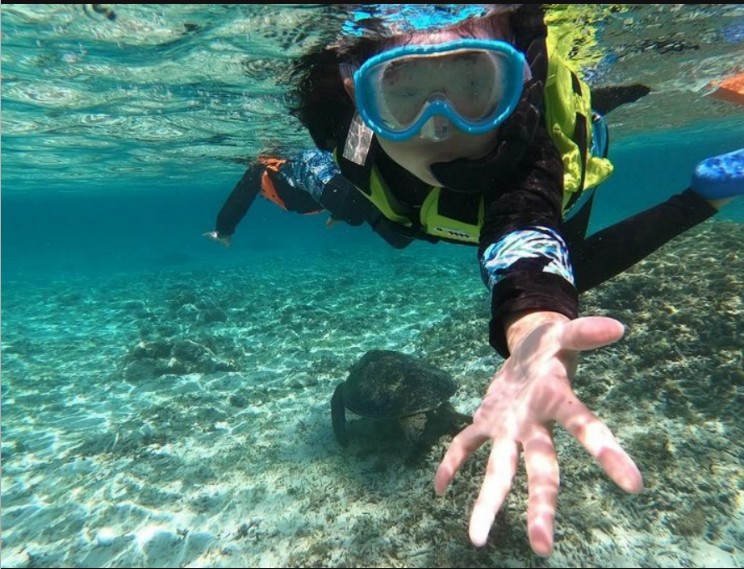 大和村でのアクティビティ紹介画像